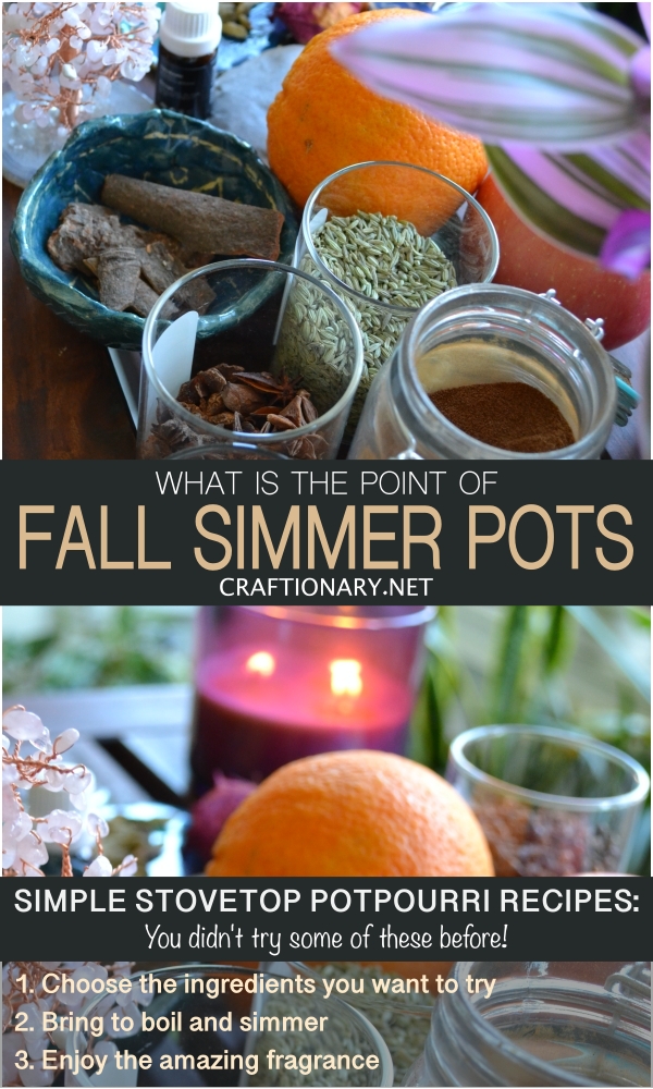 what-is-the-point-of-fall-simmer-pot