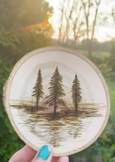 Experiment-with-the-Natural-Qualities of-Wood