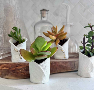 Mini-Succulent -Pots