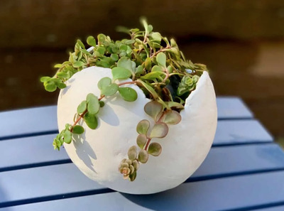 AIR-DRY-CLAY-Planter