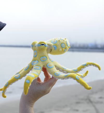 Needle-felting-Colorful-Octopus 