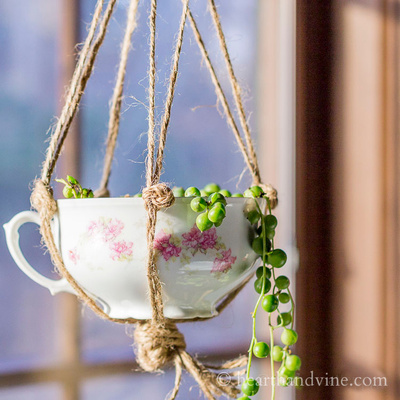 hanging-teacup-planter
