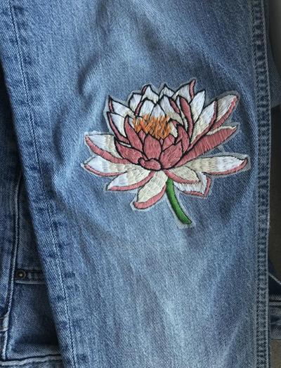Water-lily-patch