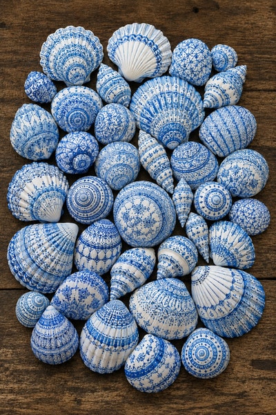 sharpie-drawing-decorative-sea-shells-diy