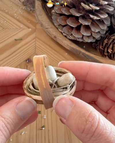 birds-nest-walnut-shell-craft-idea