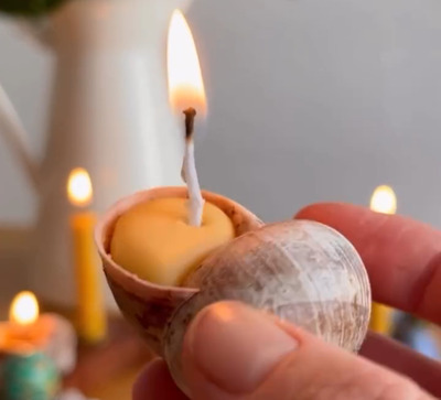ocean-snail-shell-craft-idea