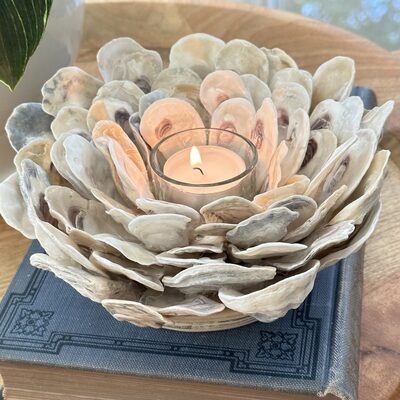 oyster-shell-candle-holders