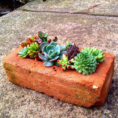 painted-brick-succulent-planter