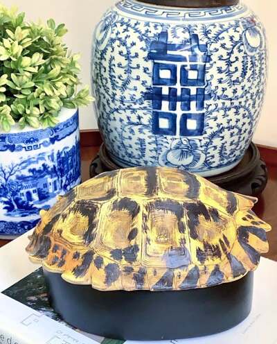 turtle-shell-craft-idea-2