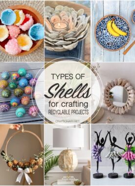 30 Shell Crafts – Crafting with Seashells and Nutshells