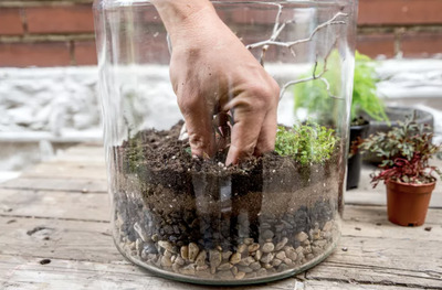 Build-a-Terrarium