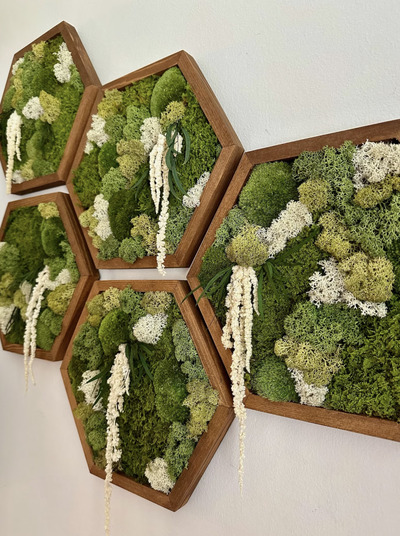 DIY-Moss-Wall-Art