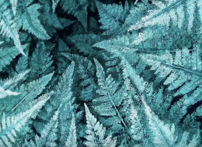 Layered-Leaf-Print-Art