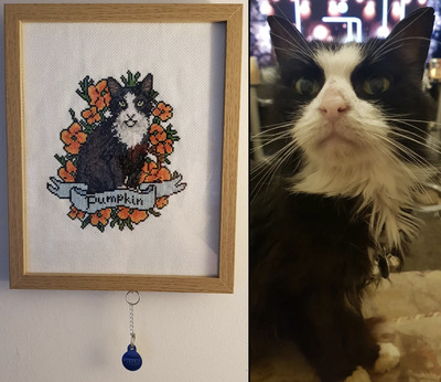 Pet-Portraits-from-Photos