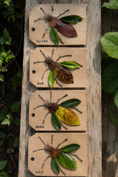 nature-finds-diy-bug-craft