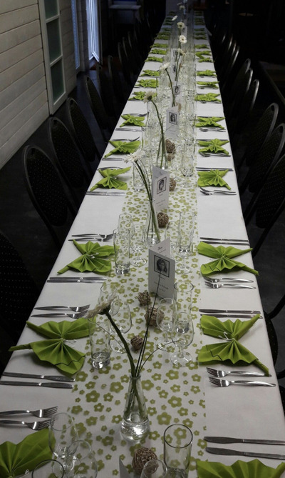 Butterfly-Style-Napkin-Display-Delphine