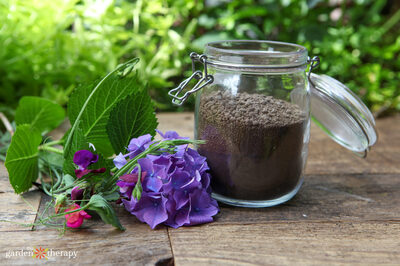 Checking-Soil-pH-for-Kids-Creative-Indoor-Gardening