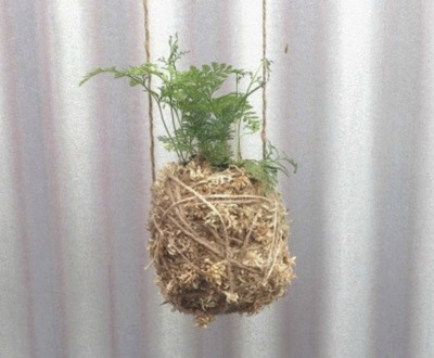 DIY-Hanging-Kokedama-with-Kids-Creative-Indoor-Gardening