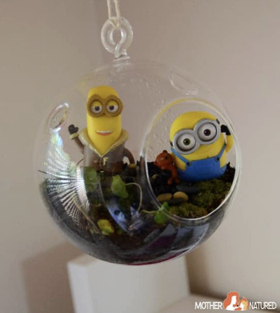 Easy-DIY-Mini-Terrariums-Creative-Indoor-Gardening