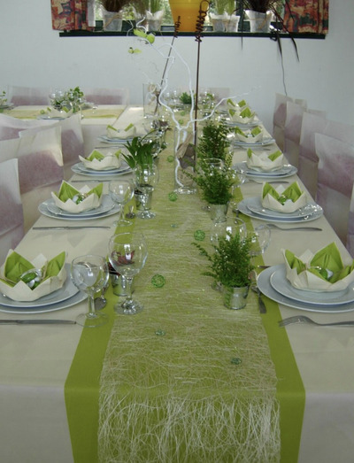 Lotus-Fold-Napkin-Display