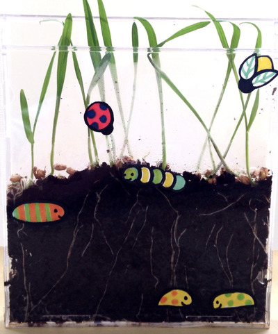 Make-Transparent-Indoor-Garden-Creative-Indoor-Gardening