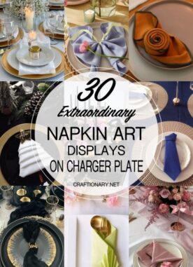 Dining Table Charger Plate Napkin Display Ideas