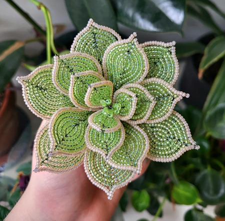 Classic-French-Beaded-plant-Echeveria-and-Jade