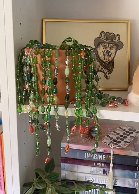 beaded-forever-plant-string-of-hearts