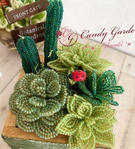 beaded-plant-cactus-garden