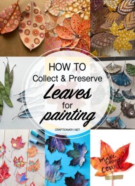 How to Collect and Preserve Leaves for Art without Discoloration