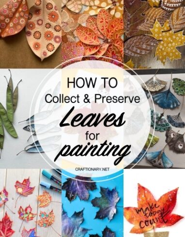 How to Collect and Preserve Leaves for Art without Discoloration