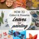 How to Collect and Preserve Leaves for Art without Losing Colors