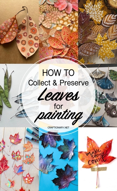 how-to-collect-preserve-leaves-for-painting-crafts-art