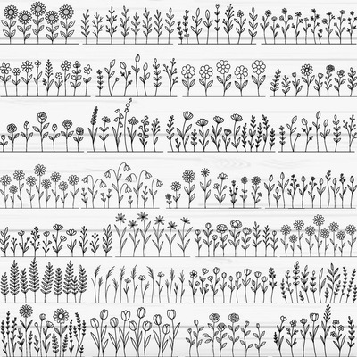 botanical-wildflower-border-line-art-floral