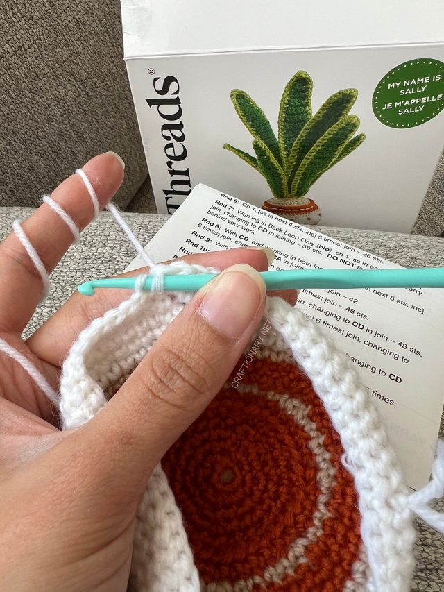 crochet-flower-pot-first-crochet-plant-free-pattern