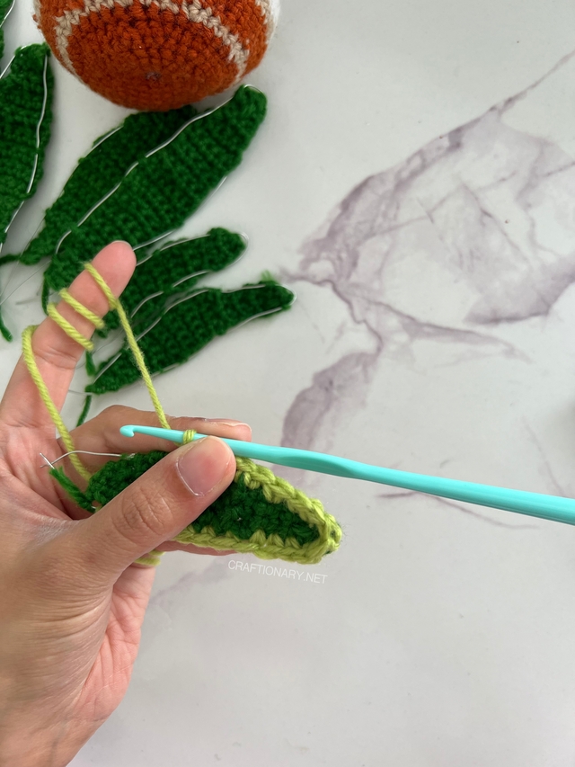 crochet-leaf-border-for-contrast-crochet-plant-free-pattern