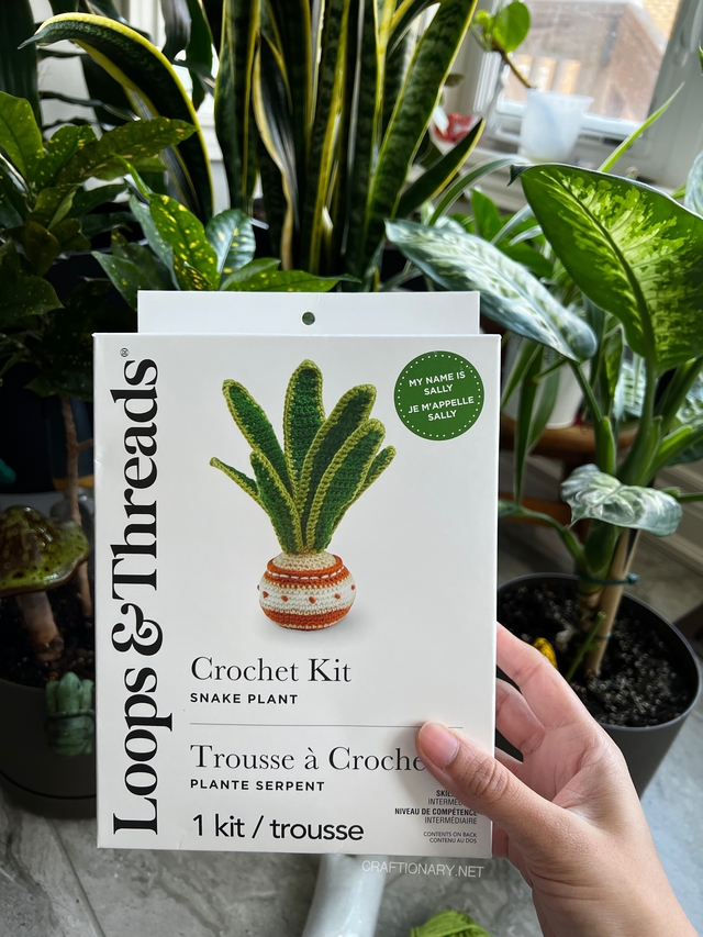first-time-crocheter-beginner-crochet-plant-free-pattern-and-kit