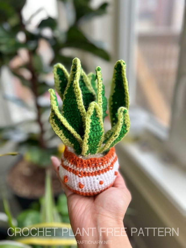 how-to-crochet-plant-free-pattern-starter-project