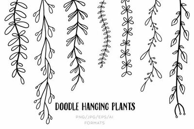 line-art-hanging-vines-floral-plants