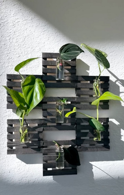 upcycled-wooden-crates-jars-water-plant-display