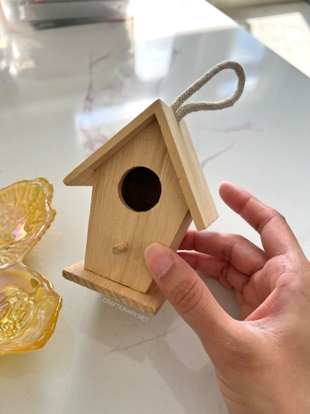 painted-birdhouse-crafts