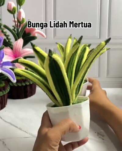 pipe-cleaners-snake-plant-sensiveira-houseplant-diy
