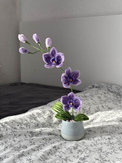 pipe-cleaner-orchid-flower