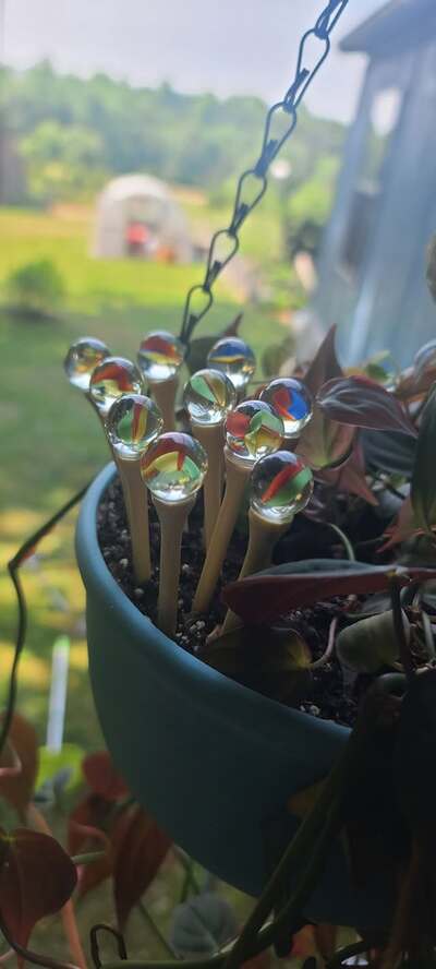 glass-marble-garden-markers-diy